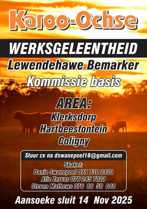 livestock marketer vacancy klerksdorp